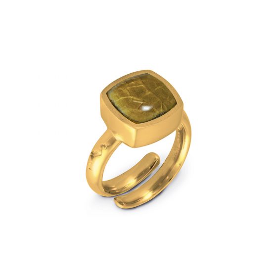 Ring Safari variant